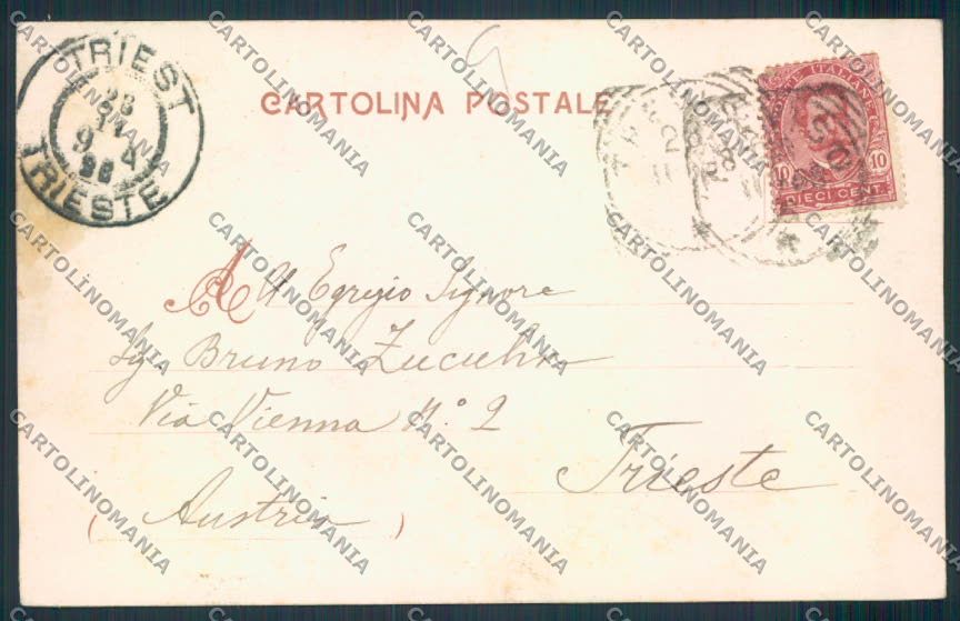 Treviso Città cartolina MV4899 – retro