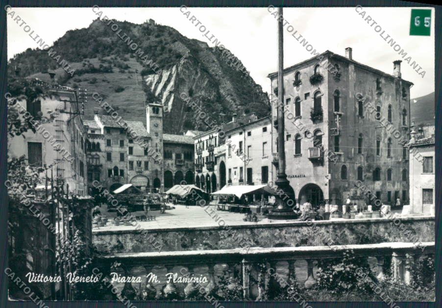 Treviso Vittorio Veneto ADESIVO Foto FG cartolina MV4990 – fronte