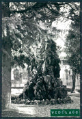Treviso Vedelago ADESIVO Foto FG cartolina MV4992 – fronte
