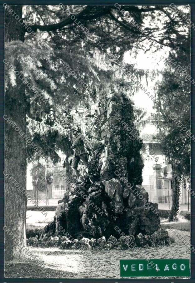 Treviso Vedelago ADESIVO Foto FG cartolina MV4992 – fronte