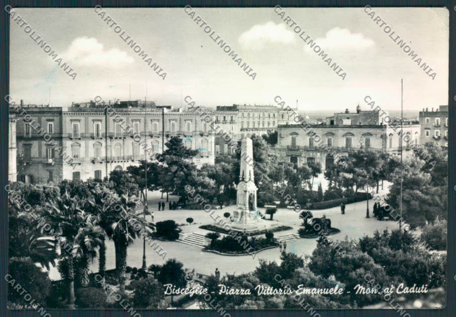 Bari Bisceglie Foto FG cartolina MV5128 – fronte