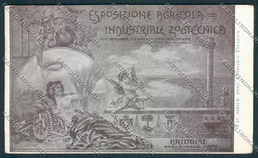 Brindisi Città Esposizione Zootecnica cartolina MV5223 – fronte