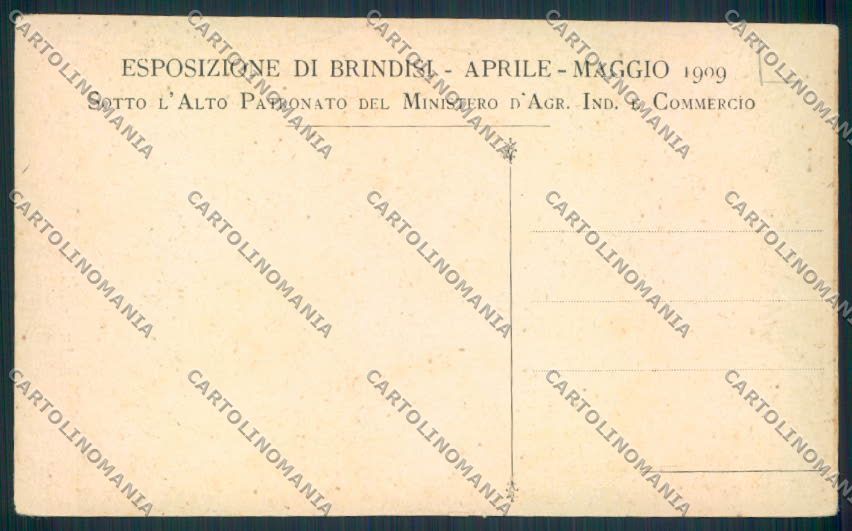 Brindisi Città Esposizione Zootecnica cartolina MV5223 – retro