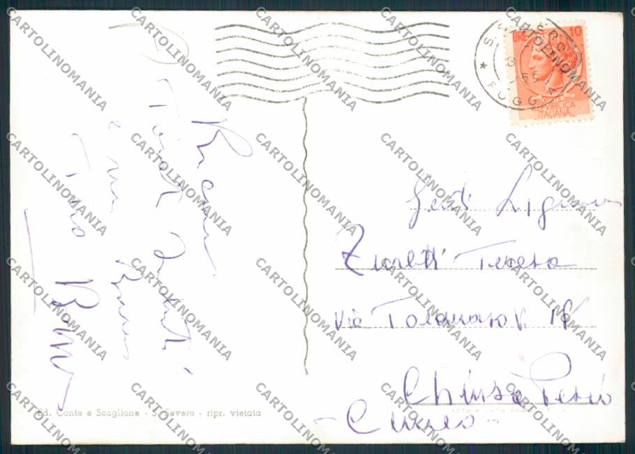 Foggia San Severo Foto FG cartolina MV5380 – retro