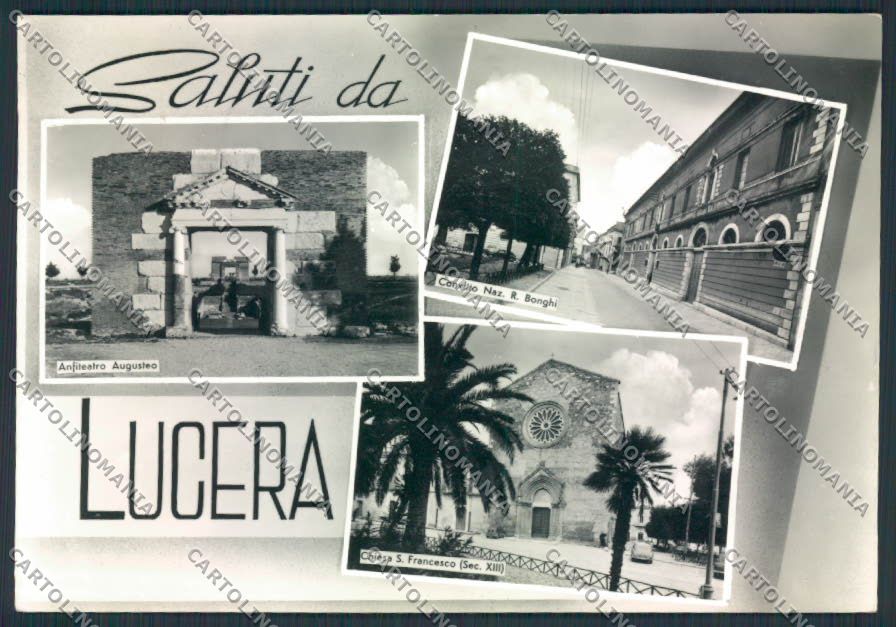 Foggia Lucera Foto FG cartolina MV5389 – fronte