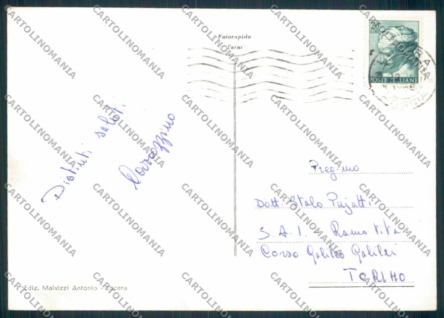 Foggia Lucera Foto FG cartolina MV5389 – retro