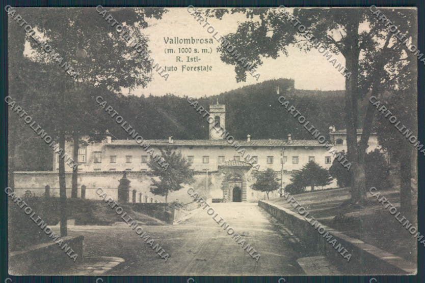Firenze Reggello Forestale cartolina MV6036 – fronte