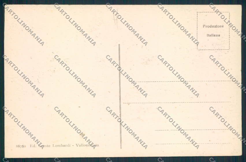 Firenze Reggello Saltino cartolina MV6041 – retro