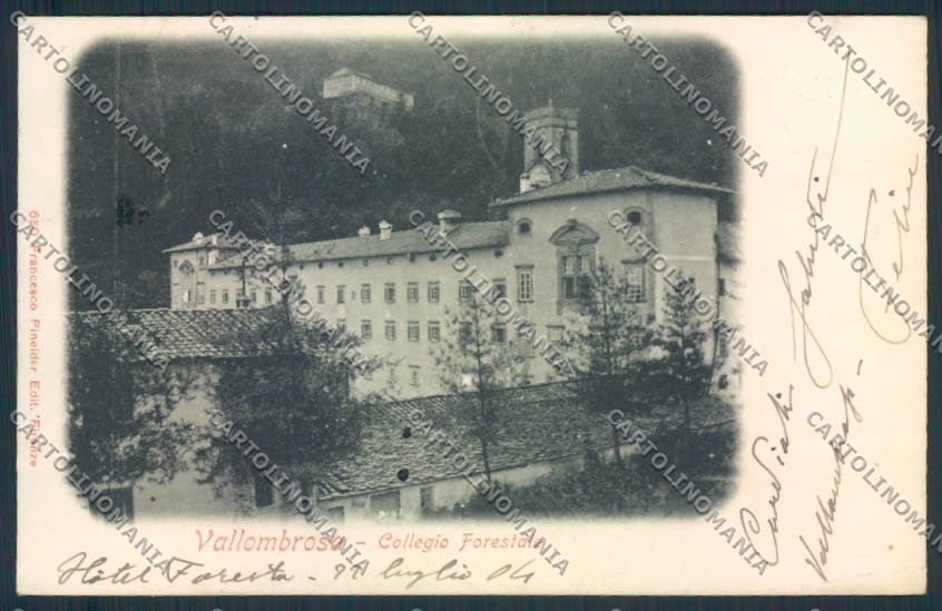 Firenze Reggello Vallombrosa PIEGHINA cartolina MV6057 – fronte