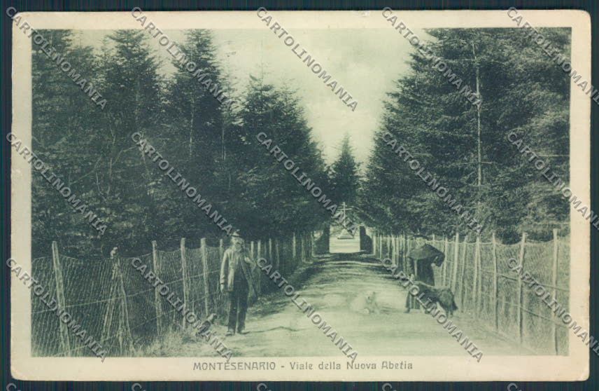 Firenze Vaglia Montesenario cartolina MV6074 – fronte