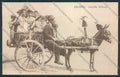 Palermo Carro Siciliano STRAPPO cartolina MV6268 – fronte