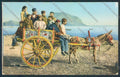 Palermo Carro Siciliano PIEGHINE cartolina MV6270 – fronte
