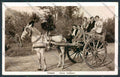 Palermo Costumi Carro Siciliano Foto cartolina MV6280 – fronte