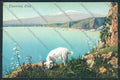 Messina Taormina cartolina MV6437 – fronte