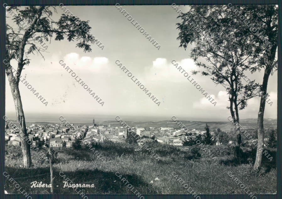 Agrigento Ribera Foto FG cartolina MV6535 – fronte