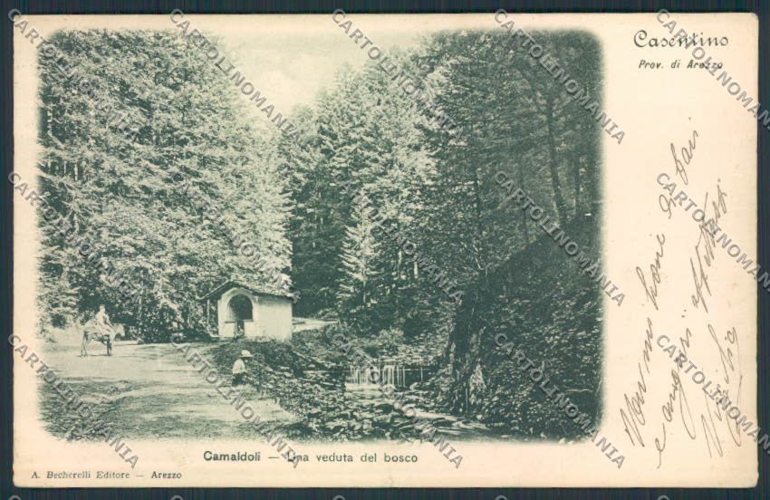 Arezzo Camaldoli STRAPPINO cartolina MV7181 – fronte