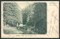Arezzo Camaldoli STRAPPINO cartolina MV7181 – fronte