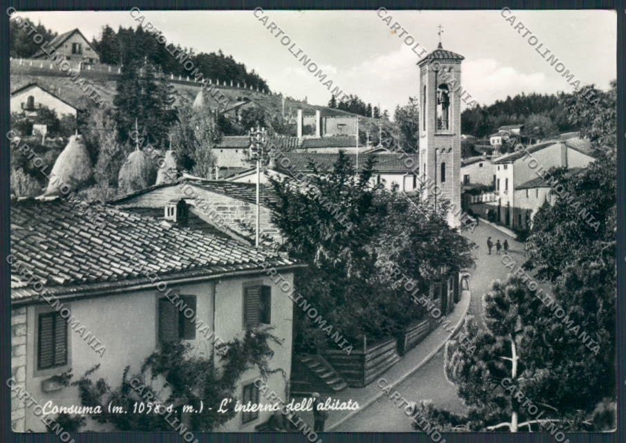 Arezzo Consuma Foto FG cartolina MV7249 – fronte