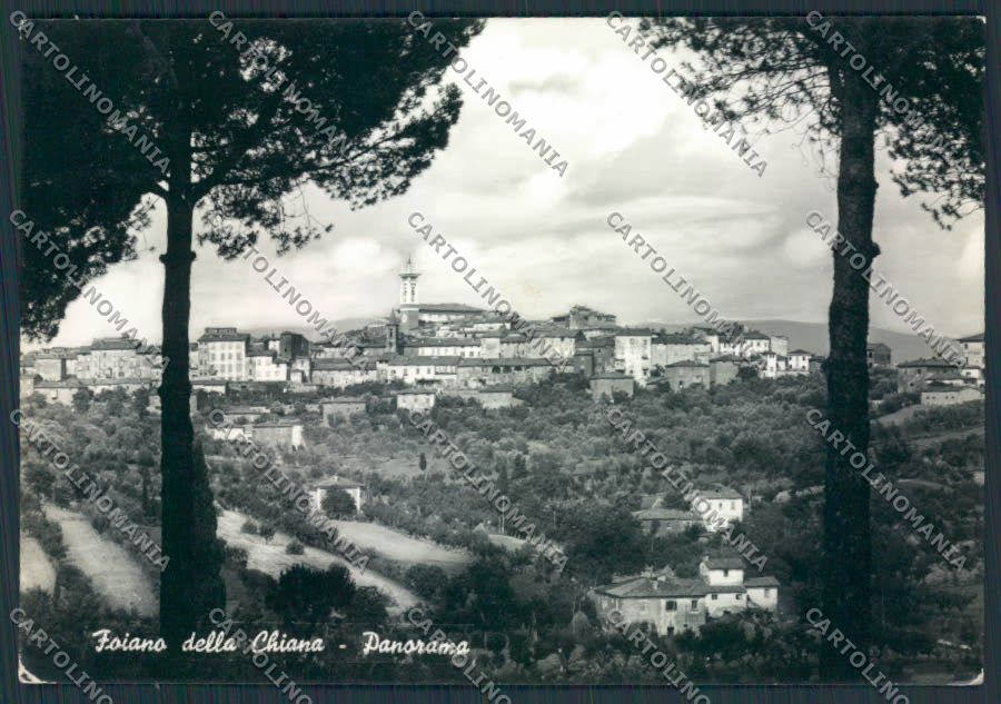 Arezzo Foiano della Chiana Foto FG cartolina MV7252 – fronte