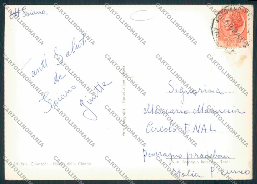 Arezzo Foiano della Chiana Foto FG cartolina MV7252 – retro