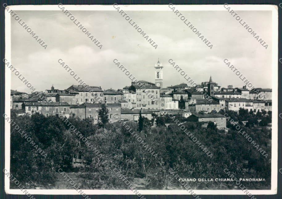 Arezzo Foiano della Chiana Foto FG cartolina MV7253 – fronte