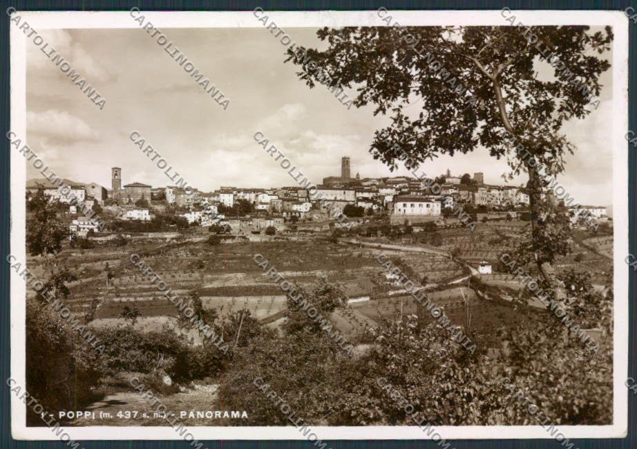 Arezzo Poppi Foto FG cartolina MV7264 – fronte