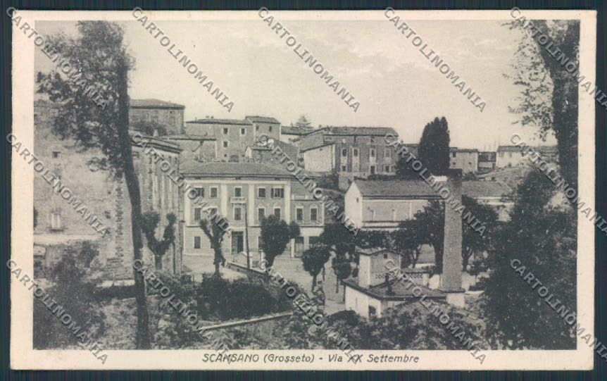 Grosseto Scansano cartolina MV7314 – fronte