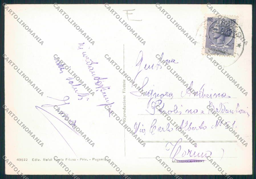 Grosseto Paganico FG cartolina MV7354 – retro