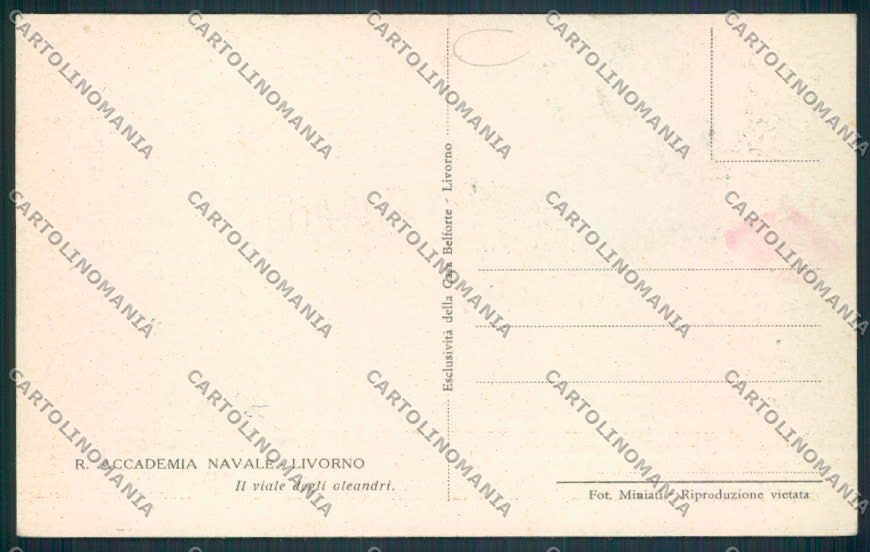Livorno Città Accademia Marina cartolina MV7358 – retro