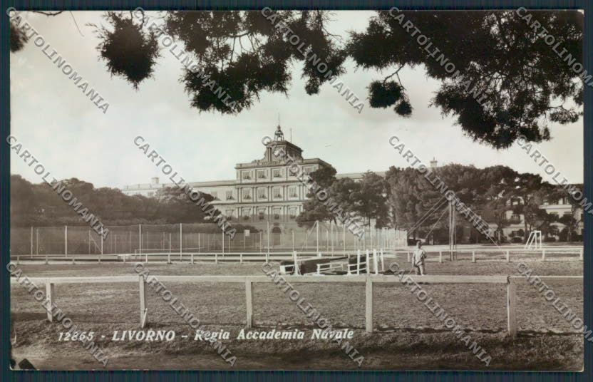 Livorno Città Accademia Marina Foto cartolina MV7366 – fronte