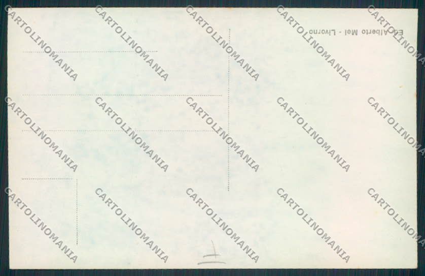 Livorno Città Foto cartolina MV7383 – retro