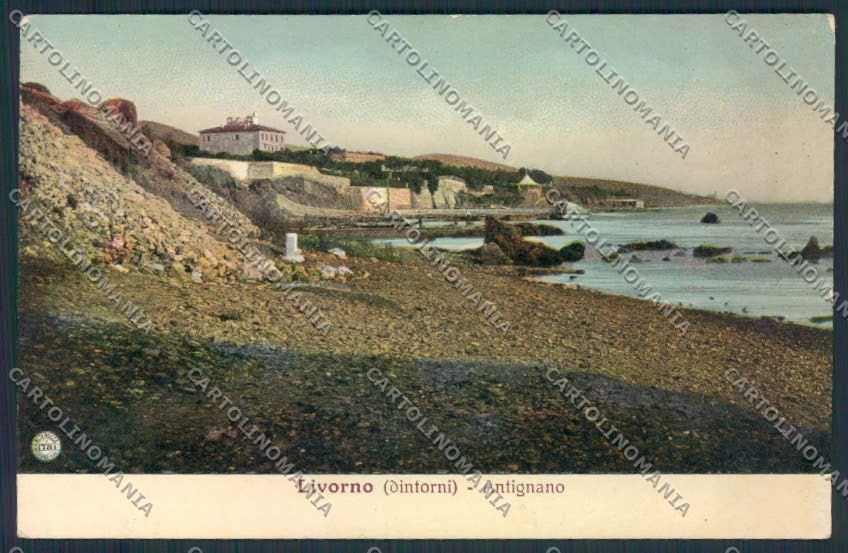 Livorno Antignano cartolina MV7455 – fronte