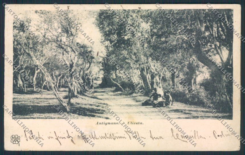 Livorno Antignano PIEGHINE cartolina MV7471 – fronte