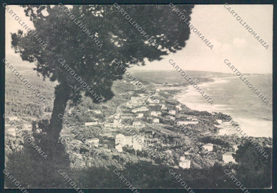 Livorno Quercianella FG cartolina MV7481 – fronte