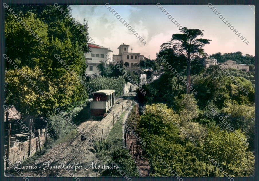 Livorno Montenero Foto PIEGHINE FG cartolina MV7482 – fronte