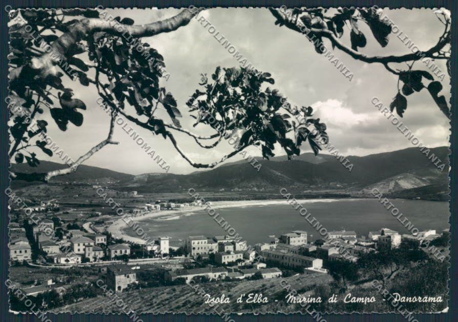 Livorno Isola d'Elba Marina di Campo Foto FG cartolina MV7512 – fronte