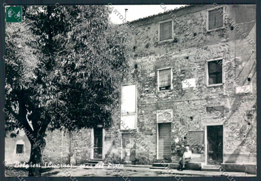 Livorno Bolgheri ADESIVO Foto FG cartolina MV7516 – fronte