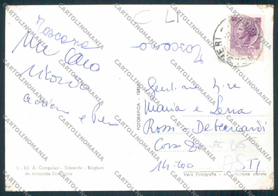 Livorno Bolgheri ADESIVO Foto FG cartolina MV7516 – retro