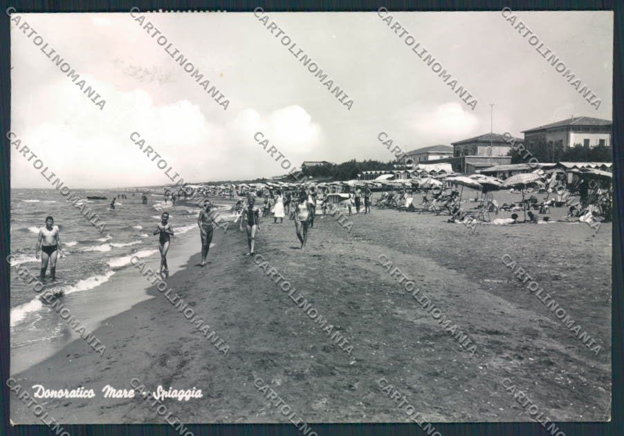 Livorno Donoratico Foto FG cartolina MV7519 – fronte