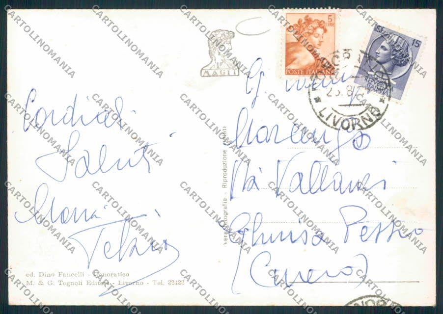 Livorno Donoratico Foto FG cartolina MV7519 – retro
