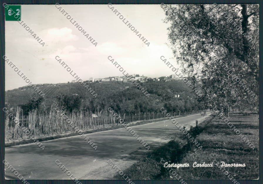 Livorno Castagneto Carducci ADESIVO Foto FG cartolina MV7520 – fronte