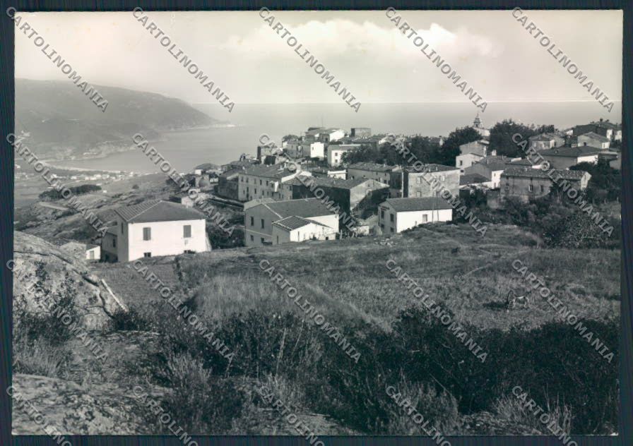 Livorno Isola d'Elba San Piero Foto FG cartolina MV7528 – fronte
