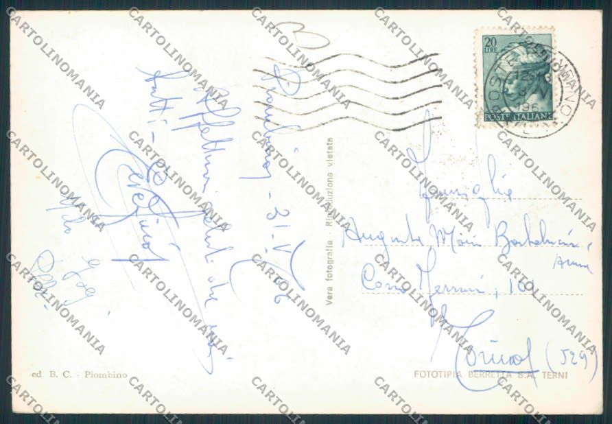 Livorno Piombino Foto FG cartolina MV7559 – retro