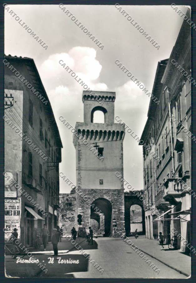 Livorno Piombino Foto FG cartolina MV7563 – fronte