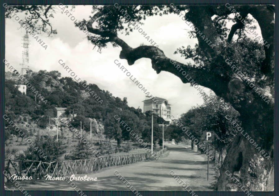 Nuoro Città STRAPPINO Foto FG cartolina MV7682 – fronte