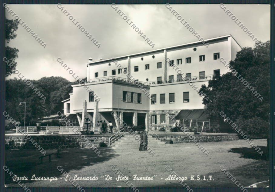Oristano Santu Lussurgiu Foto FG cartolina MV7701 – fronte