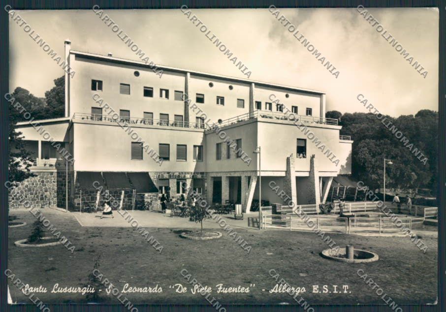 Oristano Santu Lussurgiu Foto FG cartolina MV7723 – fronte