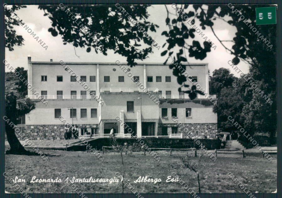 Oristano Santu Lussurgiu ADESIVO COLLA Foto FG cartolina MV7724 – fronte