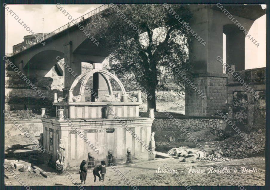 Sassari Città Foto FG cartolina MV7740 – fronte