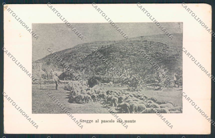 Macerata Città cartolina MV7781 – fronte